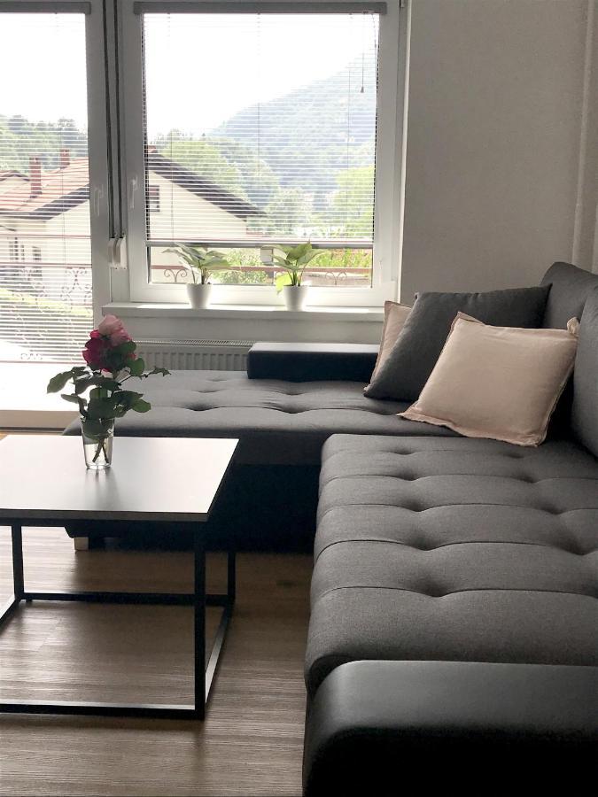 Apartment Loyd, Tolmin - Most na Soči Exterior foto