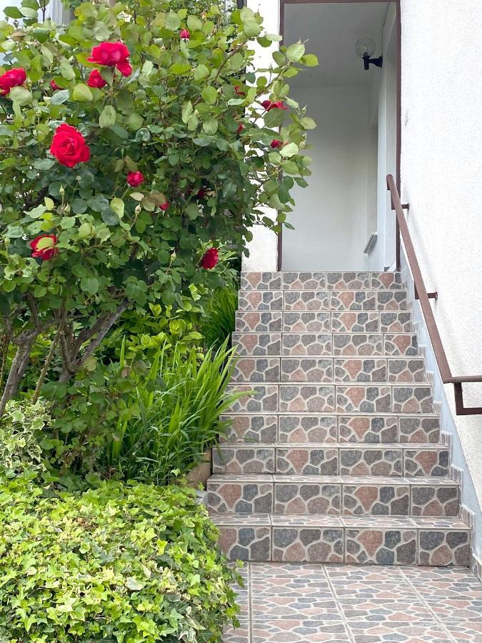 Apartment Loyd, Tolmin - Most na Soči Exterior foto